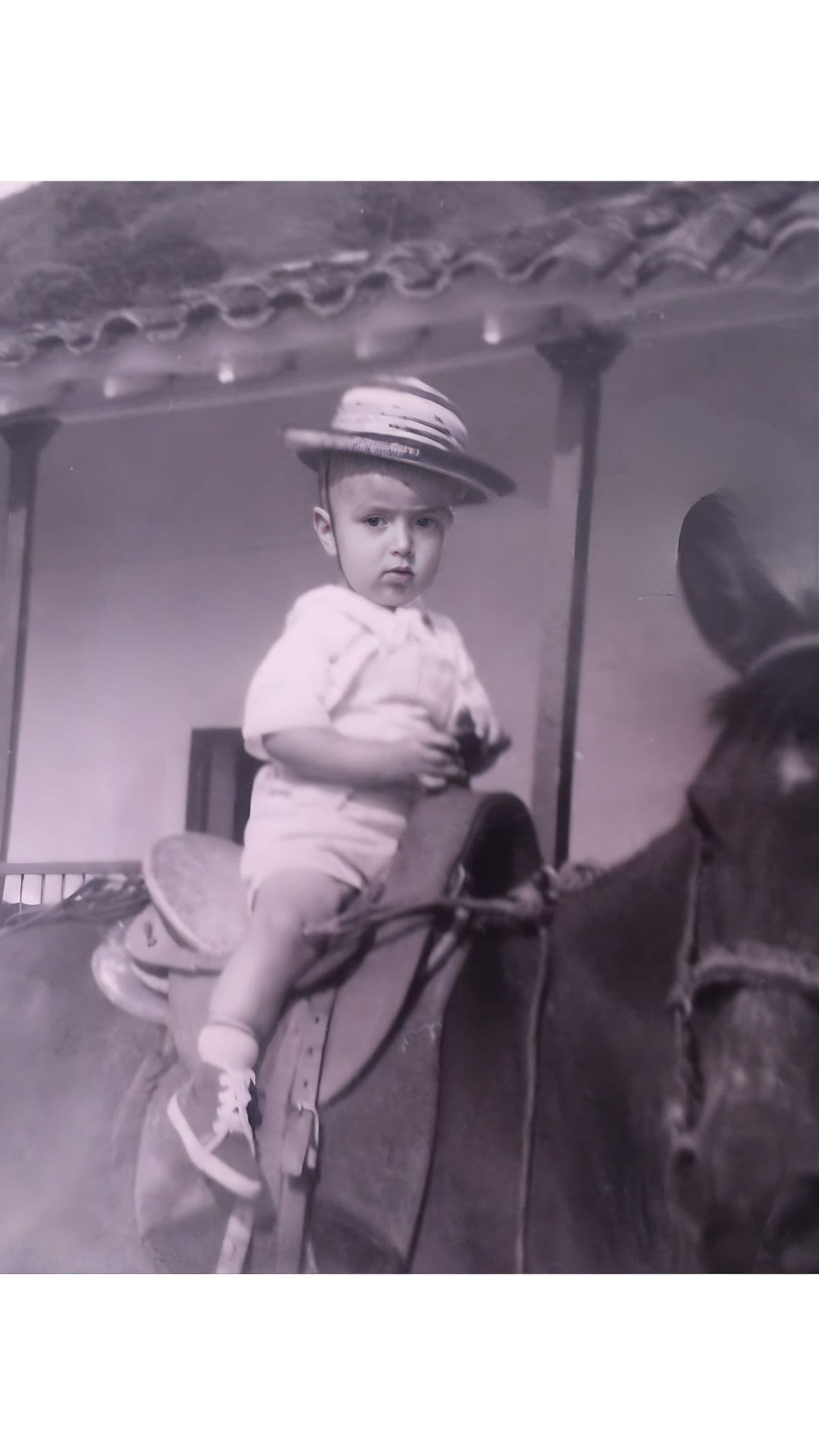 Dr. José Leguizamón — Rinder-Tierarzt & Gründer theCowsVoice